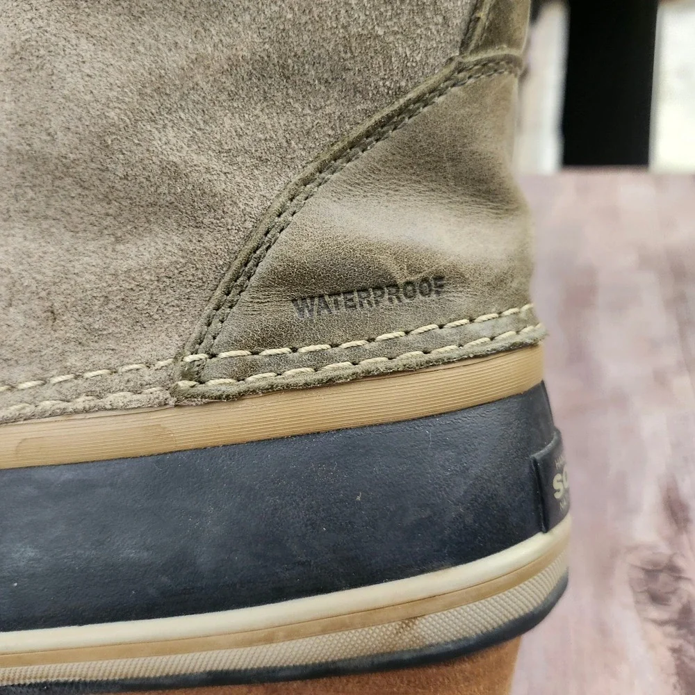Sorel conquest carly